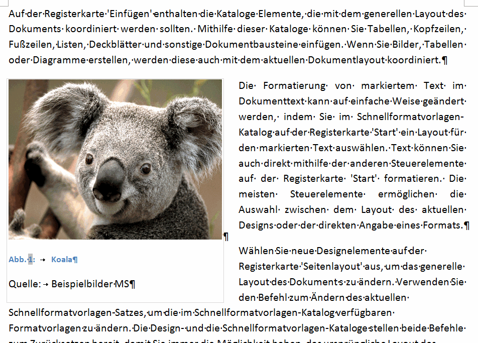 Bild in den Positionsrahmen einfügen