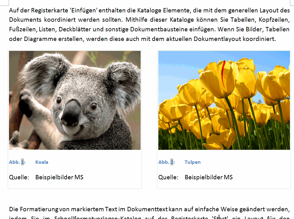 Zwei Positionsrahmen mit Abbildung nebeneinander